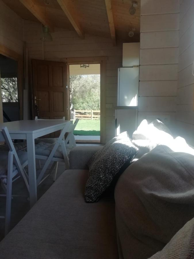 Apartament Woodhouse Tarifa Zewnętrze zdjęcie