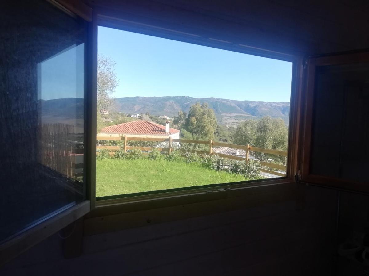 Apartament Woodhouse Tarifa Zewnętrze zdjęcie